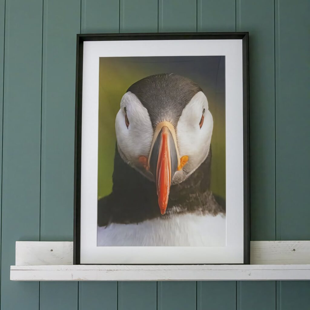Printe bilder fra mobilen
