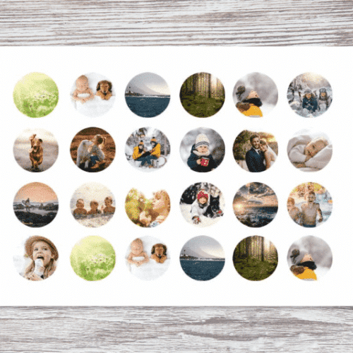 Muffinsbilder