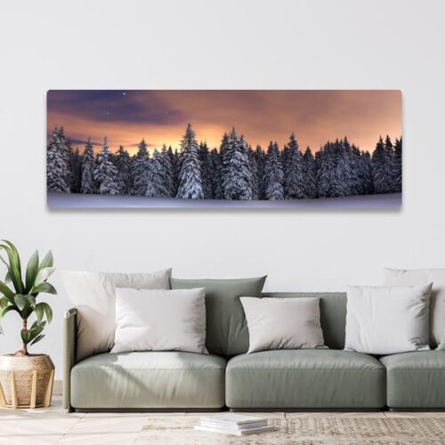 50x150cm bilde på aluminium