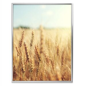 Nfoto bilderamme i sølv 50x70 cm