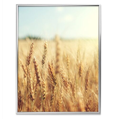 Nfoto bilderamme i sølv 50x70 cm